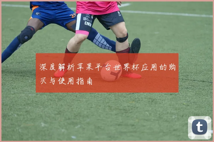 深度解析苹果平台世界杯应用的购买与使用指南