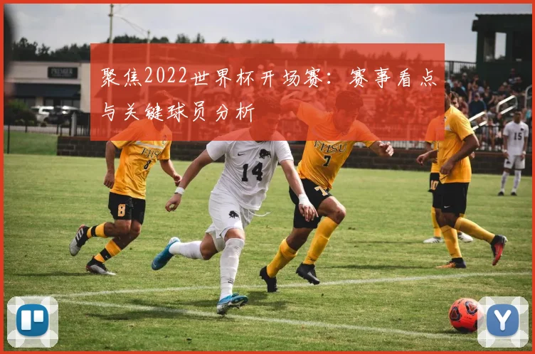 聚焦2022世界杯开场赛：赛事看点与关键球员分析