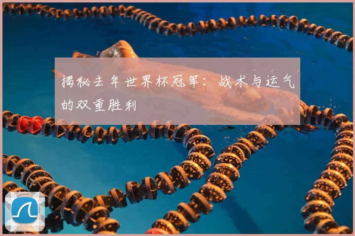 揭秘去年世界杯冠军：战术与运气的双重胜利