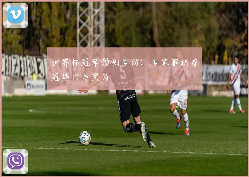 世界杯冠军预测专访：专家解析夺冠热门与黑马