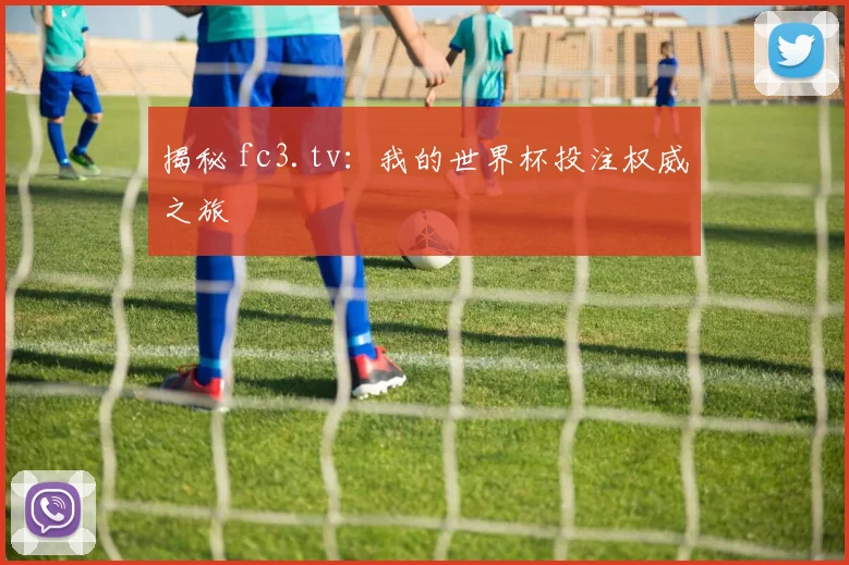 揭秘 fc3.tv：我的世界杯投注权威之旅