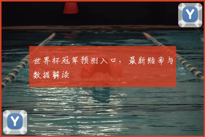 世界杯冠军预测入口，最新赔率与数据解读